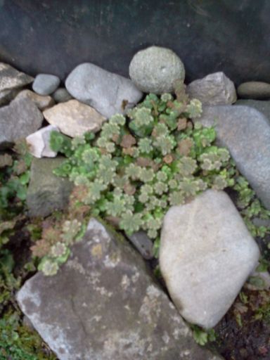 I TU PROSZĘ O POMOC . CO TO TAKIEGO JEST ?