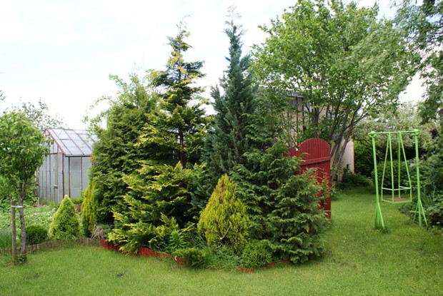 Iglaczki