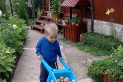 ...... jak się ma wspaniałego pomocnika to dopiero jest radość w ogrodzie.