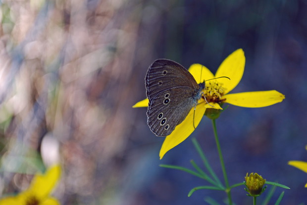 Jedno z dwóch artystycznych zdjęć dzieci ;)