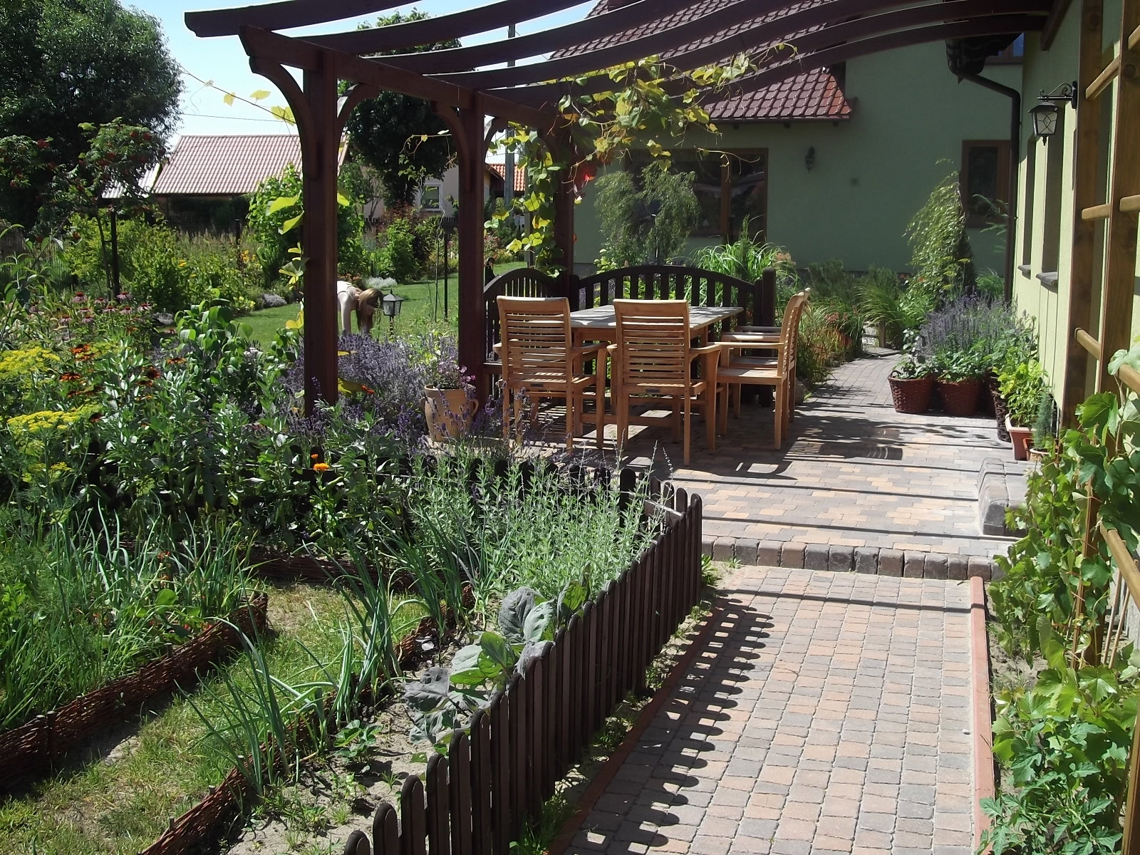 Kącik wypoczynkowy pod winoroślą japońską.