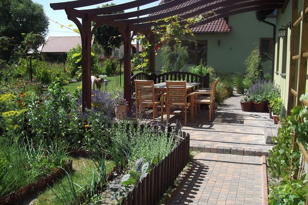 Kącik wypoczynkowy pod winoroślą japońską.