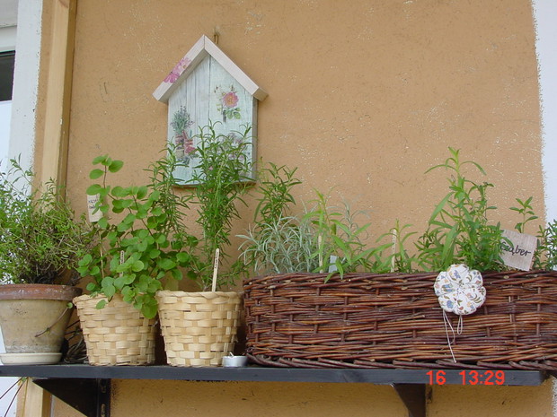 kawałek ściany z ziołami. reszta stoi, gdzie miejsce było