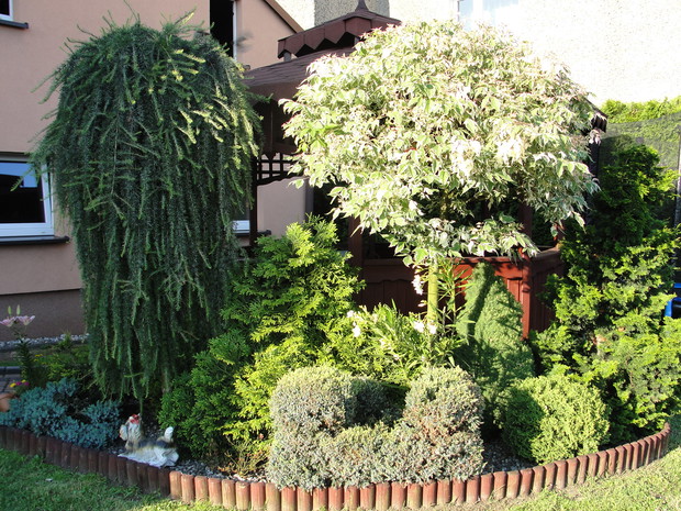 kompozycja krzewów przed altana, zdj z 2013r.