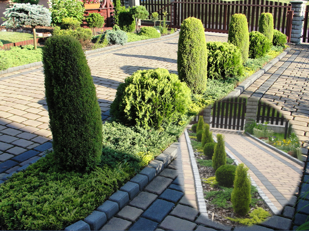 kompozycja wzdłuż chodnika do domu, zdj. z 2008r. w kółku i z 2013r.