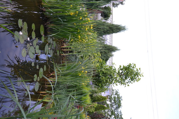 Kwitnący świat natury.