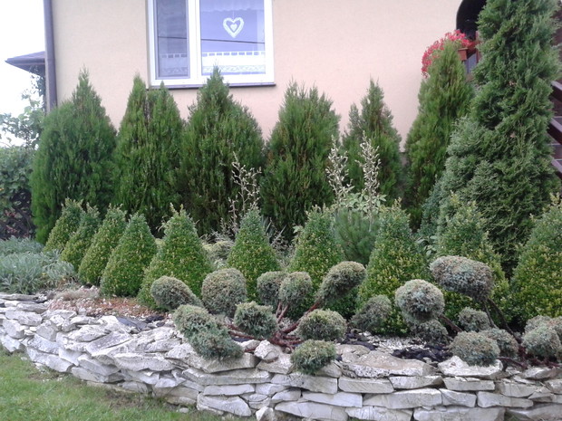 Lubię wielonarodowość - Japonia.