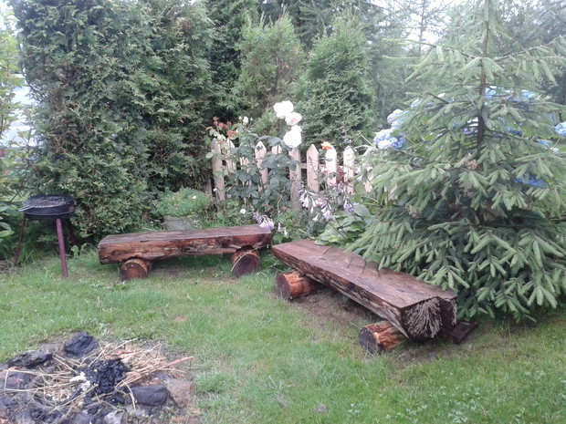 Miejsce na ognisko pośród zieleni.