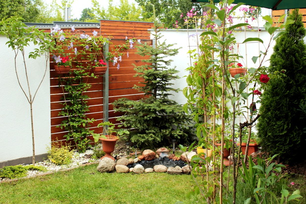 Mini oczko wodne z fotnanną