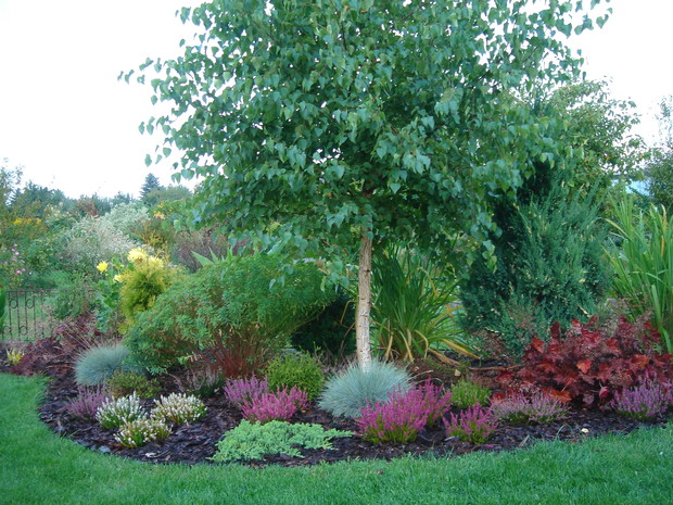 Mini wrzosowisko to moje spełnione marzenie. Pod ziemią ukryte są krokusy, które wiosną przepięknie kolorują ten zakątek.