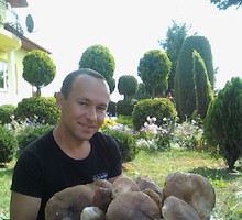 Moje BOROWIKI .