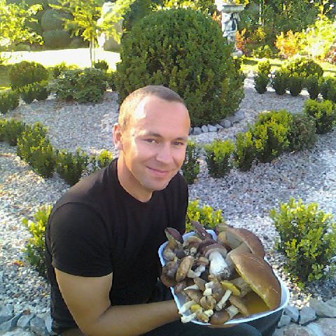 Moje małe grzybobranie .