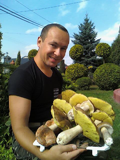 Moje okazy BOROWIKÓW :)