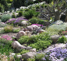 Największe głazy na skalniak musiały zostać przewiezione za pomocą maszyn budowlanych.