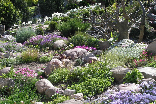 Największe głazy na skalniak musiały zostać przewiezione za pomocą maszyn budowlanych.