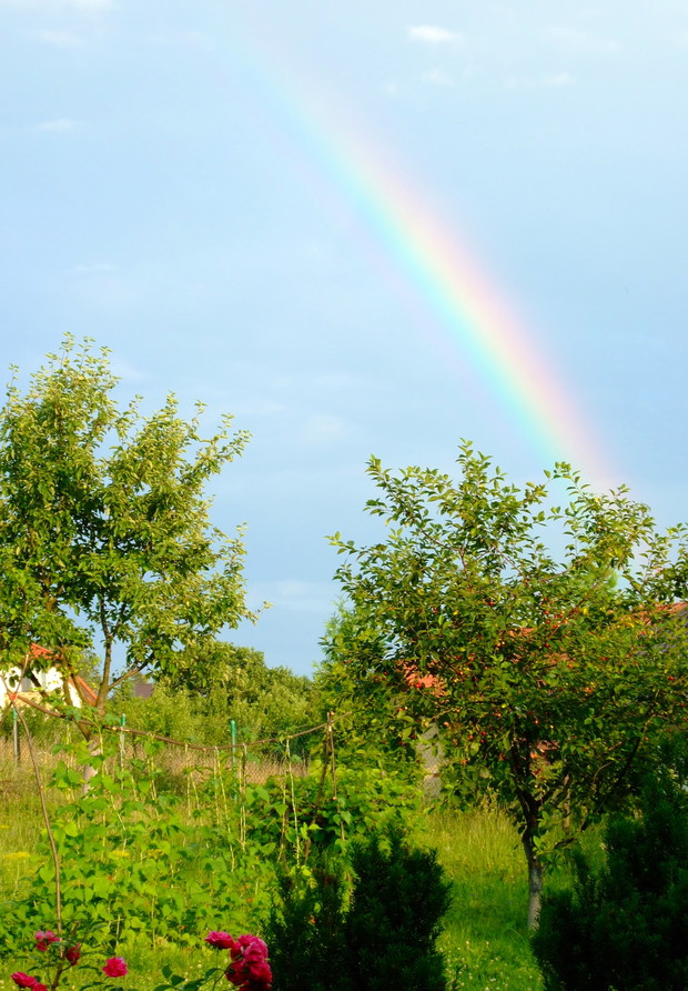 Nasza działka to idealne miejsce na odpoczynek cisza, spokój i piękne okoliczności przyrody.