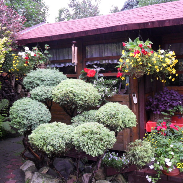 nasze żywotniki -czekaja na fryzjera