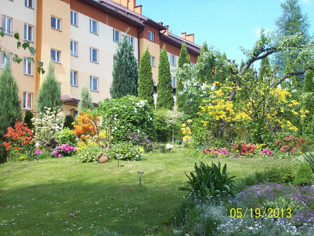 Niepowtarzalne piękno kwitnących roślin