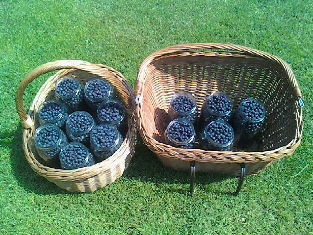 No i oczywiście nasza polska przepyszna borówka :) .