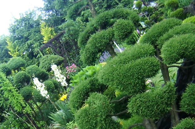 Oaza ciszy i spokoju