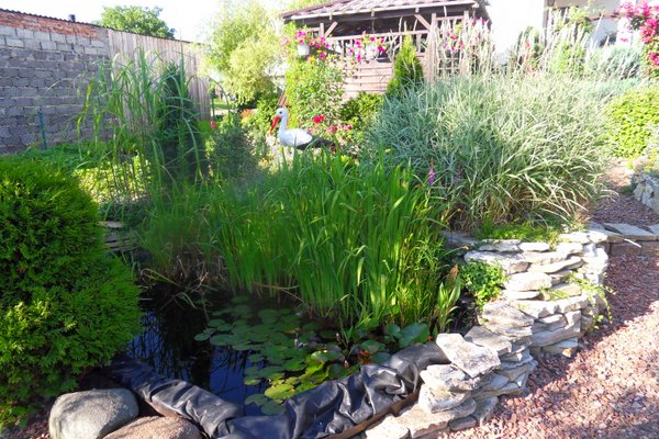 Oczko wodne, które znajduje się w samym centrum ogrodu. Zrobione zostało przeze mnie. Jeden bok zdobi pięknie utworzony skalniak, oczko porośnięte jest roślinami oraz cudnie kwitnącymi liliami wodnymi. W oczku żyją rybki, których co rok jest coraz więcej.