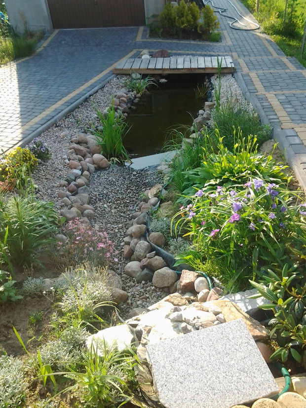 OCZKO WODNE PRZY TARASIE.