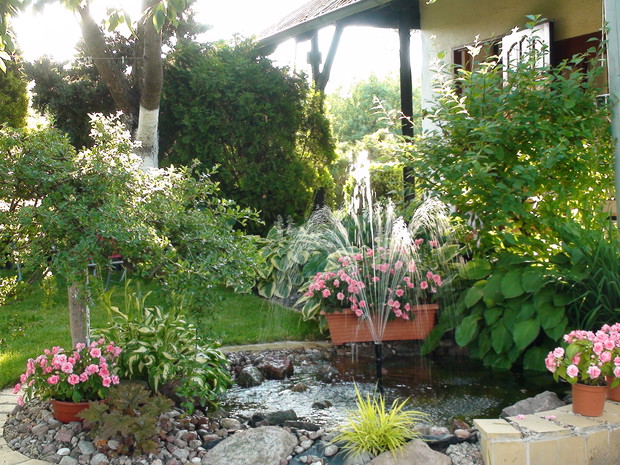 Oczko wodne z małą fontanną tworzy dobry mikroklimat i jest chętnie odwiedzany przez ptaki w upalne dni.