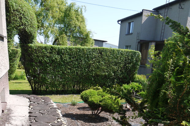 Ogród japoński przed wysypaniem kamieni ozdobnych.