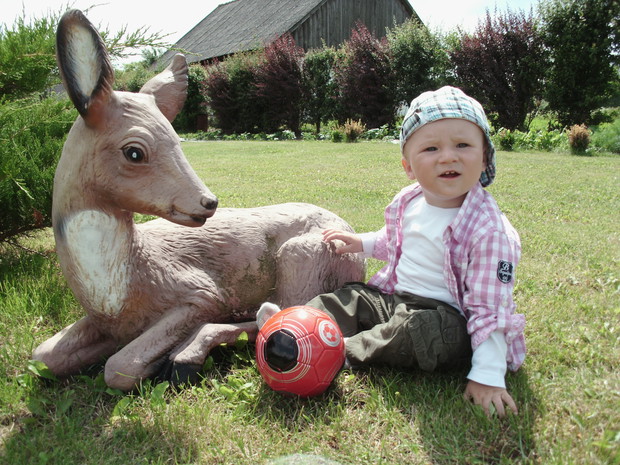 Ogród warzywny pod krzewami