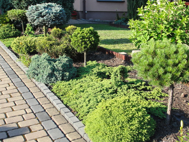 ozdobny pas zieleni wzdłuż wjazdu, zdj z 2013r.