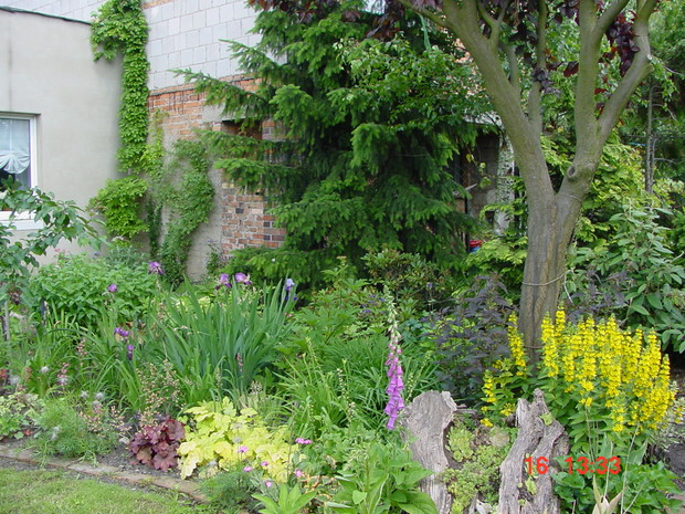 patrzymy "od tyłu ogródka"