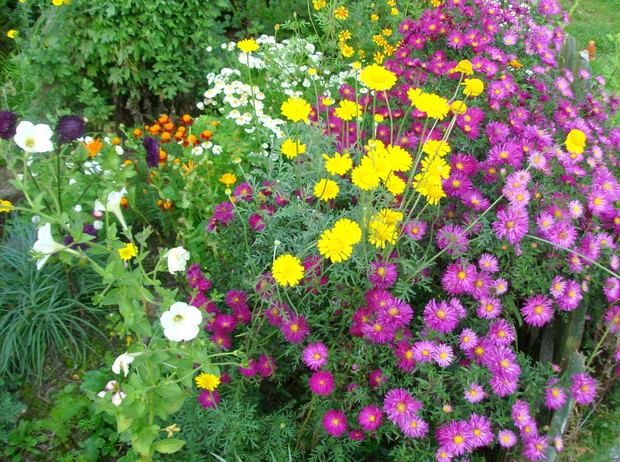 październikowa mieszanka