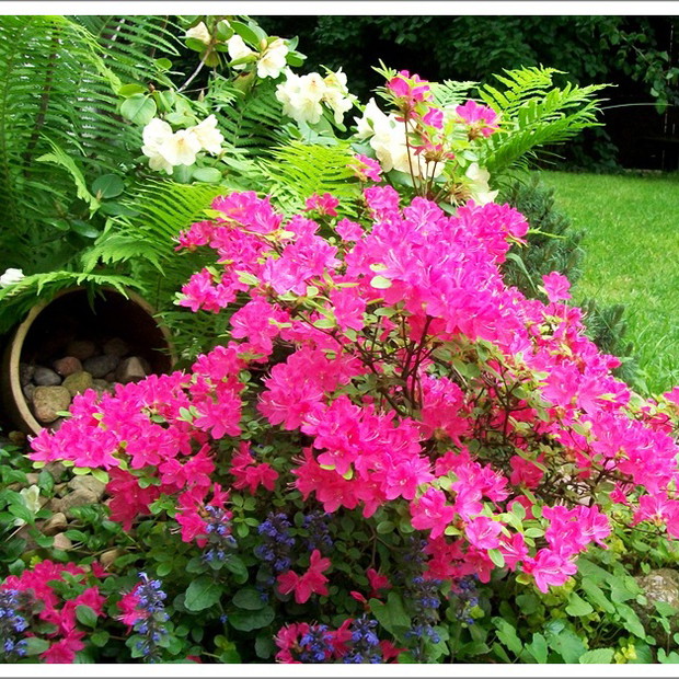 Przybalkonowy misz masz