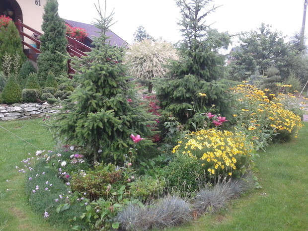 Rabatka, która zmienia się przez całe lato.