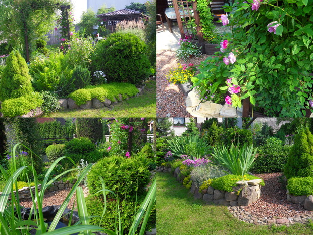 Różne części ogrodu