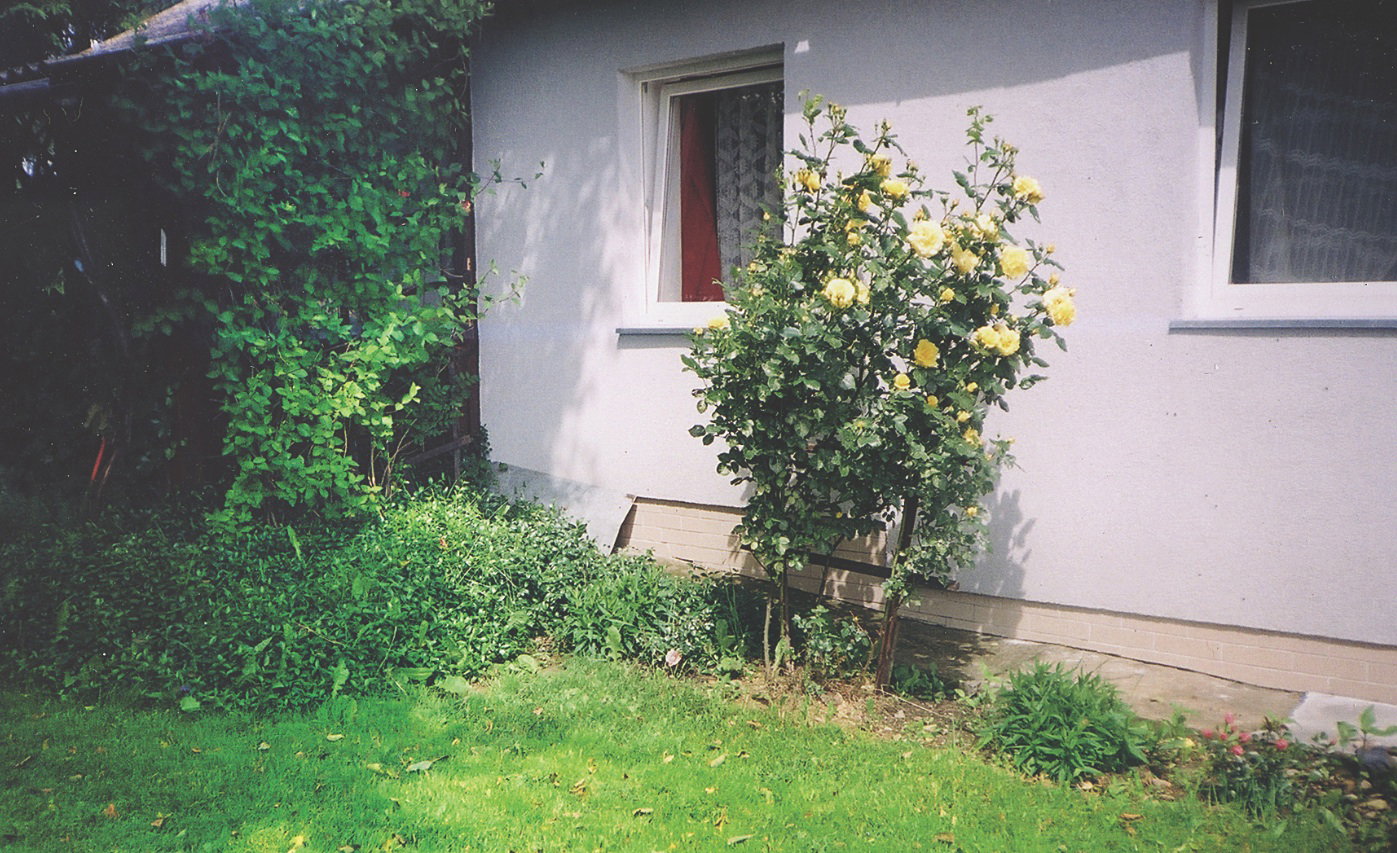 „Samemu trudno wykonać cięższe prace budowlane. Często potrzeba pomocnika. Na szczęście pomagał mi zięć”