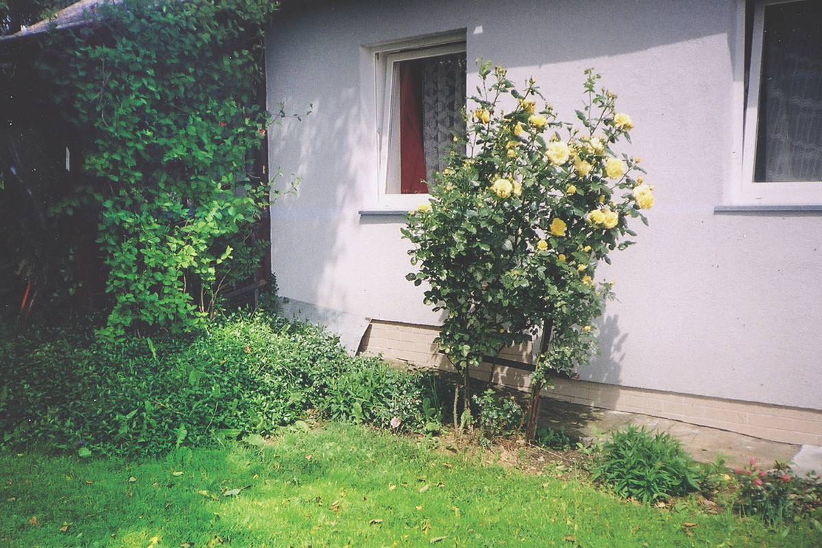 „Samemu trudno wykonać cięższe prace budowlane. Często potrzeba pomocnika. Na szczęście pomagał mi zięć”