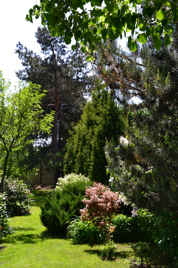 ścieżka prowadząca w głąb ogrodu