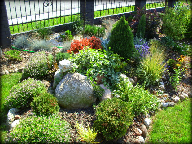 skalniak który powstał jako jeden z pierwszych