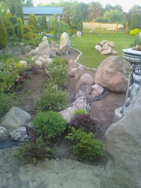 Skalniak w budowie .