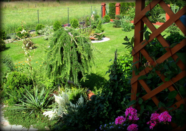 skalniaki przy tarasie i z tylu domu