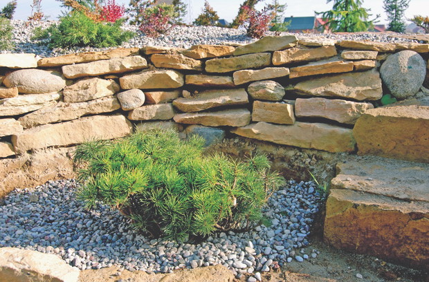 Skarpy i wzniesienia urozmaicają krajobraz. Dzięki nim ogród sprawia wrażenie naturalnego, wręcz dziewiczego.
