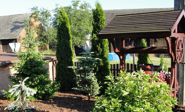 studnia, zdj z 2013r.