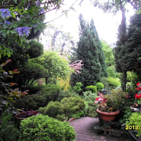 ta sciezka wchodzi się w miejsce - gdzie spedza się czas towarzysko