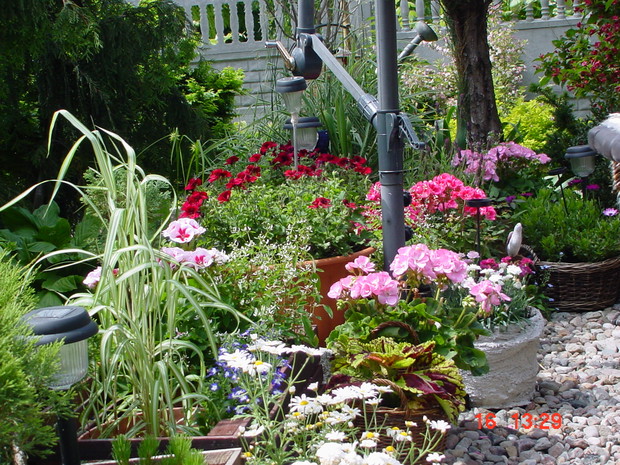 to, co przy ławeczkach humor poprawia