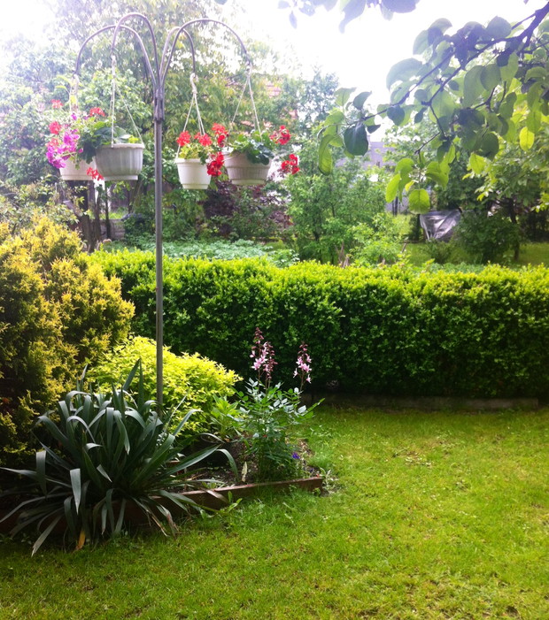 Urocza rabatka w południowej części ogrodu z kwietnikiem oraz kwitnącym  poniżej niego krzewem mojżesza.