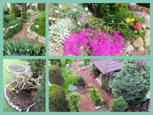 W każdej częśći ogrodu zastosowałam różne formy ozdoby. Oprócz skalniaków, ścieżek jest miejsce na stary korzeń, który porasta bluszczem i altana w, której spędzamy mnósrtwo wolnego czasu przy grilowaniu i spotkaniach z rodziną.