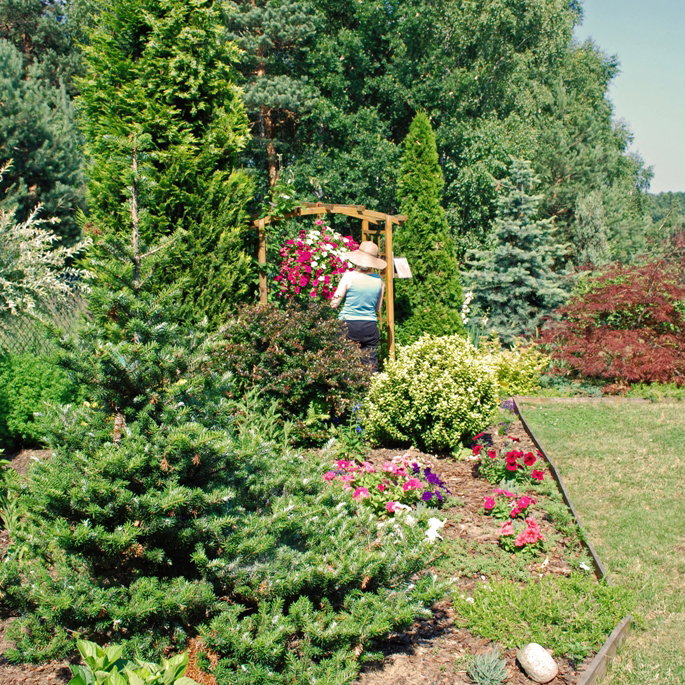 Walczymy z surfiniami w trzydziestopniowym upale...