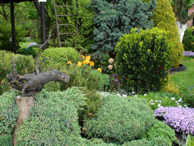 Wejścia do ogrodu pilnuje ptaszysko zrobione z korzenia usuniętego drzewka leszczyny.