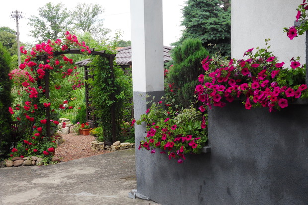 Wejście do ogrodu od strony domu .